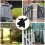 Låsgrindslås Järn Svart Gravity Design 1-pack 8