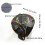 Foldable Mesh Pet Play Tent with Steel Frame 2