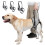 Coleira de suporte para pata traseira de cães idosos, macia e acolchoada. 5