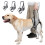 Coleira de suporte para pata traseira de cães idosos, macia e acolchoada. 6