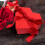 Valentine's Day Gift Box Heart-shaped Double Door 1