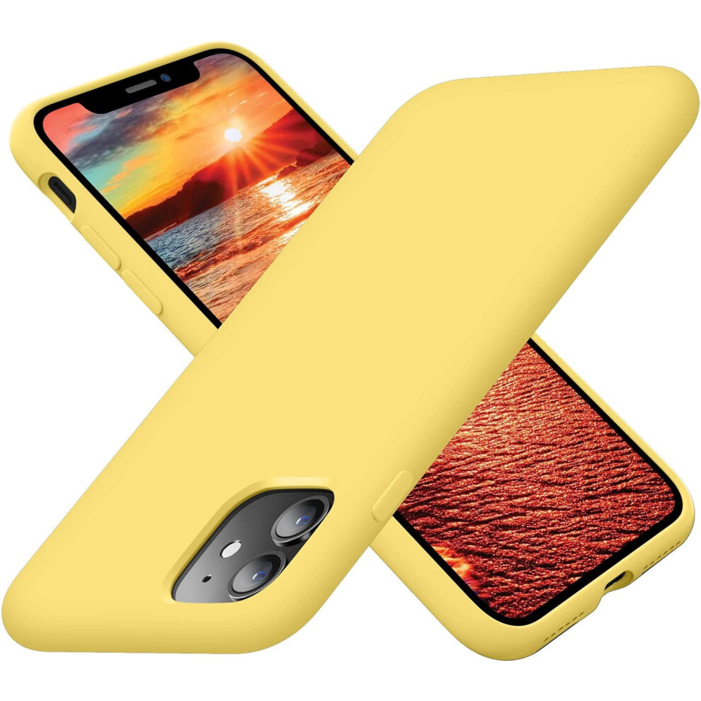 Iphone 11 Case Silicone Ultra Slim Shockproof 6.1 Inch 901175600203