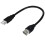 Καλώδιο προσαρμογέα IEEE1394 6 ακίδων σε USB2.0 αρσενικό 20 εκ. 5
