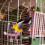 Bird Perch Sharpening Rod Standing Claw Rod 6