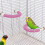 Adjustable Rope Bird Perch with Screw Mount 1 Pack 4