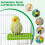 Heated Bird Perch for Parrots and Small Pets 12V 5