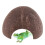 Cabane naturelle en noix de coco, cachette pour reptiles, grotte 8