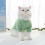 Winterpulloverall voor kleine honden 2