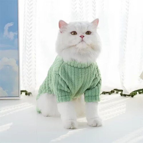 Winterpulloverall voor kleine honden 1