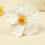Presilha de cabelo com flor, elegante e simulada, para mulheres (1 peça). 5