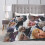 Draco Malfoy plush throw blanket 50x60 inches 4