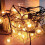 HIBIBUD taartverwarmer gloeilamp 25W 8-pack 5
