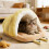 Cat Bed Cave - Soft Self-Warming Hideaway for Small to 4