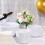 Silver Plastic Plates6.25inch100pcs 5