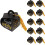 Graduation Hat Candy Box Bronzing Doctor Theme 10 pcs 4