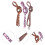 Lacets plats léopard pour baskets (3 paires) 3