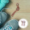 Lacets plats léopard pour baskets (3 paires) 6