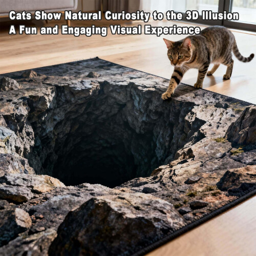 3D Optical Illusion Rug Non-Slip 24x35.5 in 1