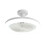 LWITHSZG E27 plafondventilatorlamp (10 inch) 2