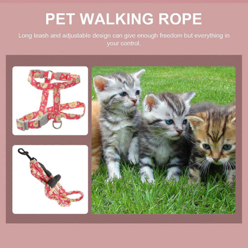 Katzengeschirr und Leine, leichtes, ausbruchsicheres Set 1