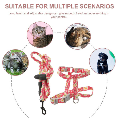 Katzengeschirr und Leine, leichtes, ausbruchsicheres Set 2
