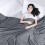 Drap plat gris en microfibre brossée, taille Twin XL, lot de 1 3