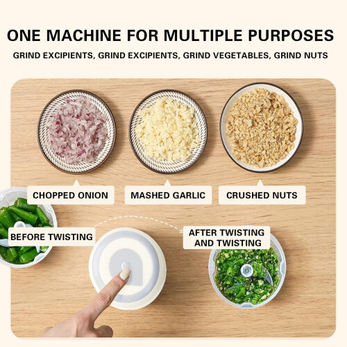 Wireless Mini Electric Garlic Chopper 250ml USB Rechargeable 1