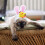Easter Bunny Hat for Cats and Small Dogs Adjustable Pet 4