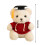 Graduation Bear Doll Soft Plush Doctoral Gown 23cm 3