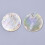 Μενταγιόν Capiz Shell σε φυσικό χρώμα AB 300 τεμάχια 25x1 χιλ. 2