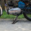 Black Adjustable Motorcycle Kickstand Heavy-Duty Side Stand 4