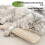 Set de perne Catnip Kicker 7,6 cm, pachet de 2 bucăți 6