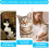 Baguette à chat interactive avec ruban (2 pièces) 5