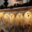 Halloween string lights 20 LED 10 ft battery powered 6