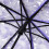 Cherry Blossom Transparent Folding Umbrella Purple 6