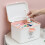 Multi Layer Plastic Storage Box/Tool Box, Multipurpose Organizer and Portable Handled Storage Case for Art Craft and Cosmetic 2