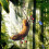 Banana hammock and butterfly feeder sturdy 7