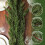 Guirnalda artificial de cedro Bootesun de 2,74 m (9 pies) 4