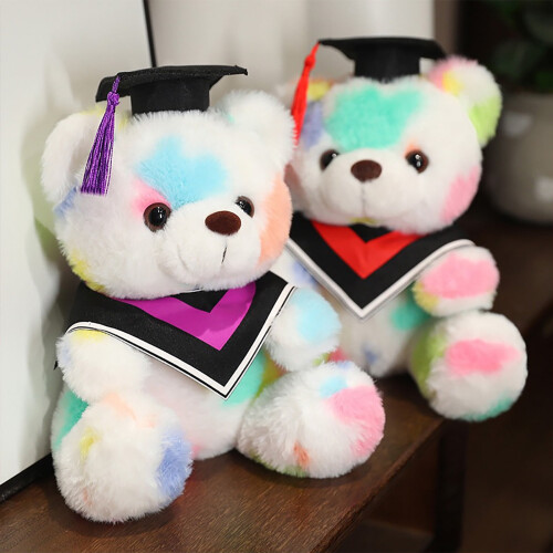 Rainbow Graduation Bear Plush Toy 9 inch 2