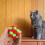 Interactive Cat Toy Balls Fuzzy Design 3 Pcs 5