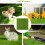 Artificial Grass Mats 12x12 Inch 6-Pack with Drainage 4