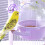 Antisplash Parakeet Feeder with Half-Open Covers 2