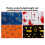 Limei PE disposable tablecloth Halloween spider theme 3