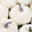 White Plastic Pumpkin Ornaments 12 Pack 5