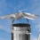 Stainless Steel Fireplace Chimney Cap 1 Piece 5