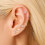 Gold Stud Earrings 16G Flat Back Titanium Internal Thread 5
