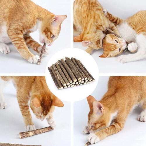 Silvervine sticks for cats chew toy 6 pieces 1