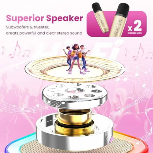 Mini Karaoke Machine Portable Bluetooth Speaker with 2 1