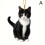 Black Cat Christmas Ornament Acrylic 2D Hanging 5