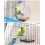 Bird Cage Feeder Transparent Plastic Easy to Install and 6